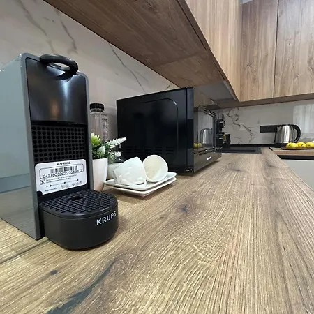 South * טימישוארה