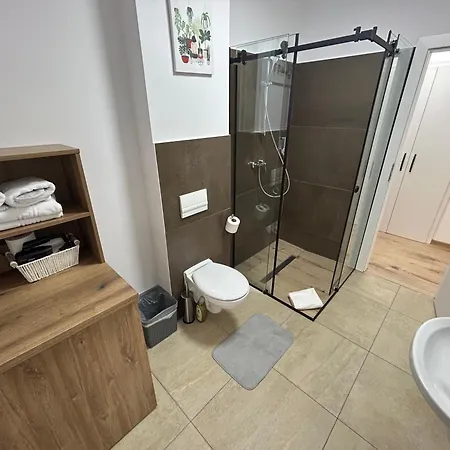 South * טימישוארה