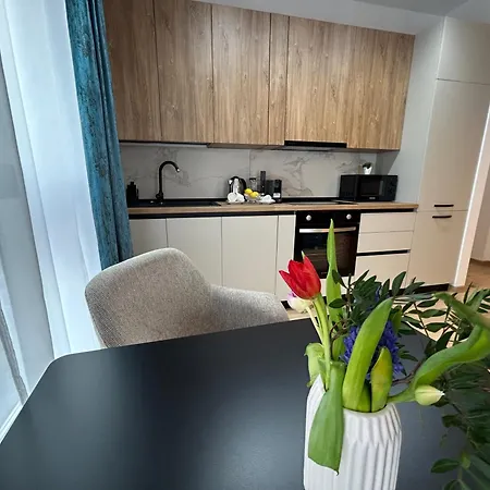 South טימישוארה