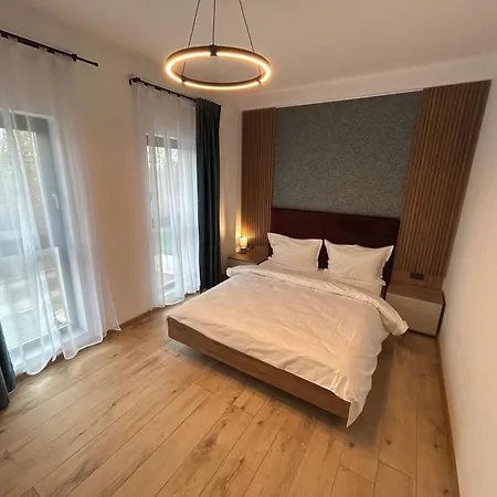 South טימישוארה