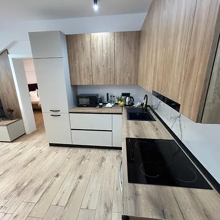 South * טימישוארה