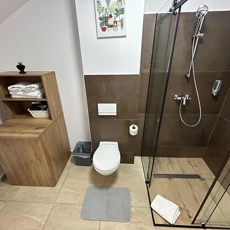 South * טימישוארה