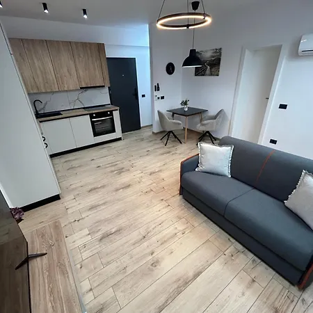 South Apartment Timisoara