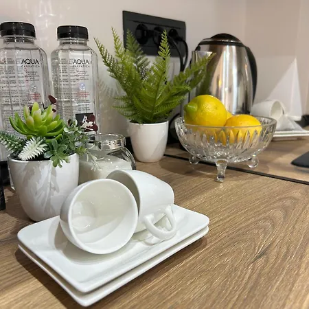 South * טימישוארה