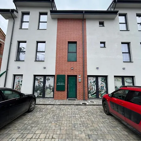 South טימישוארה