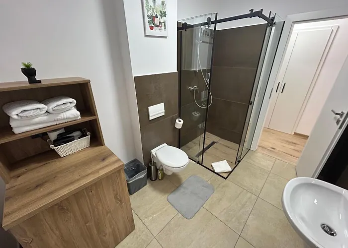 South Cu Statie Ihunt Ev * Timişoara