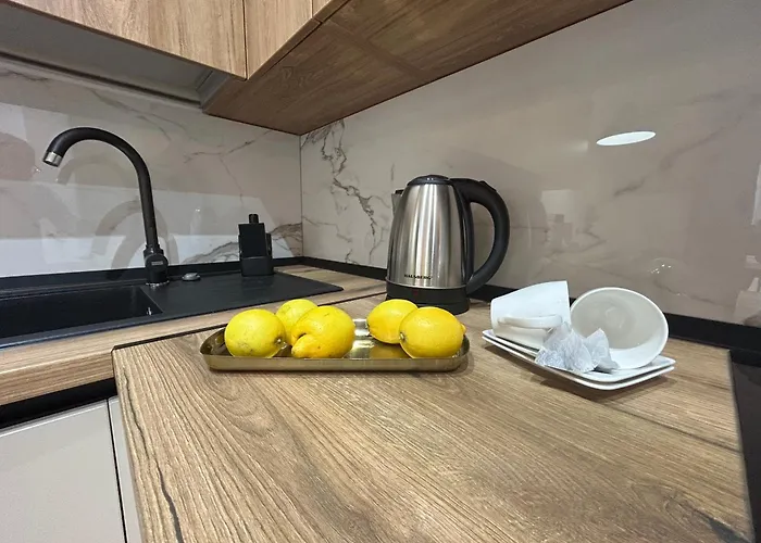 South Cu Statie Ihunt Ev *