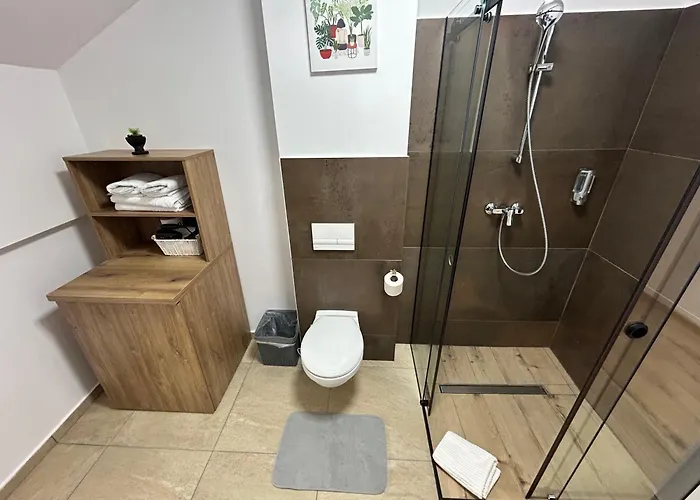 South Cu Statie Ihunt Ev * Timişoara