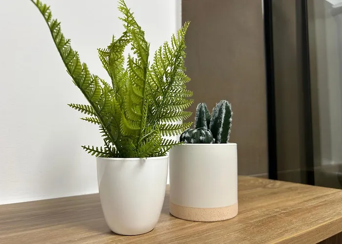 Apartment South Cu Statie Ihunt Ev